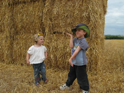 Kids love to explore the fields around the gites